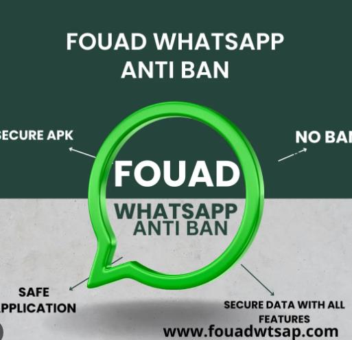 Fouad WhatsApp: Your Questions Answered